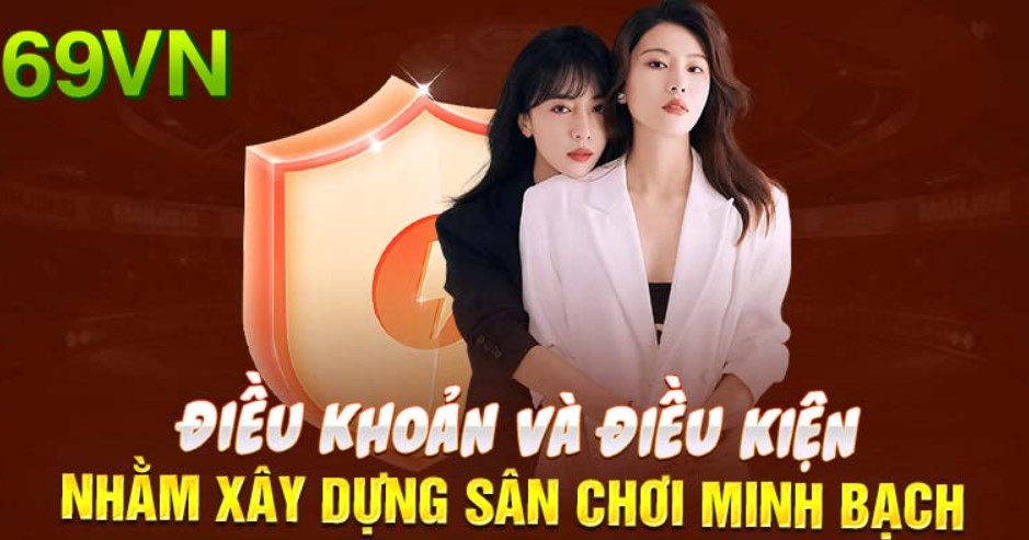 Điều khoản điều kiện 69VN về thoả thuận sử dụng